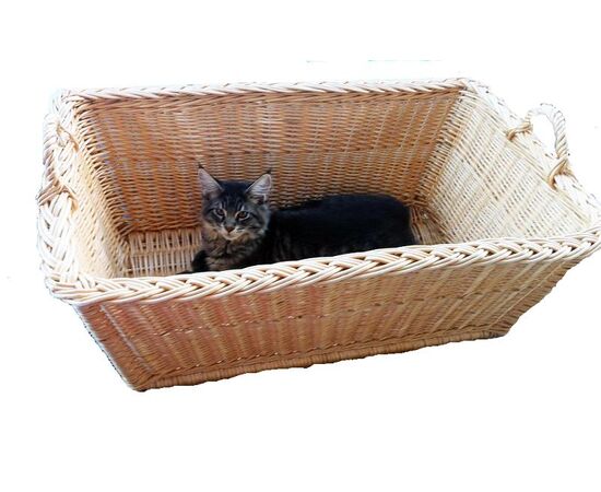 Schöne Wäschezaine, Schlafplatz für Katzen